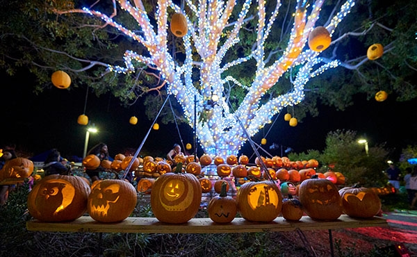 More Pumpkins than Stars in the Sky