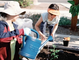 Where Gardens Bring Neighbors Together