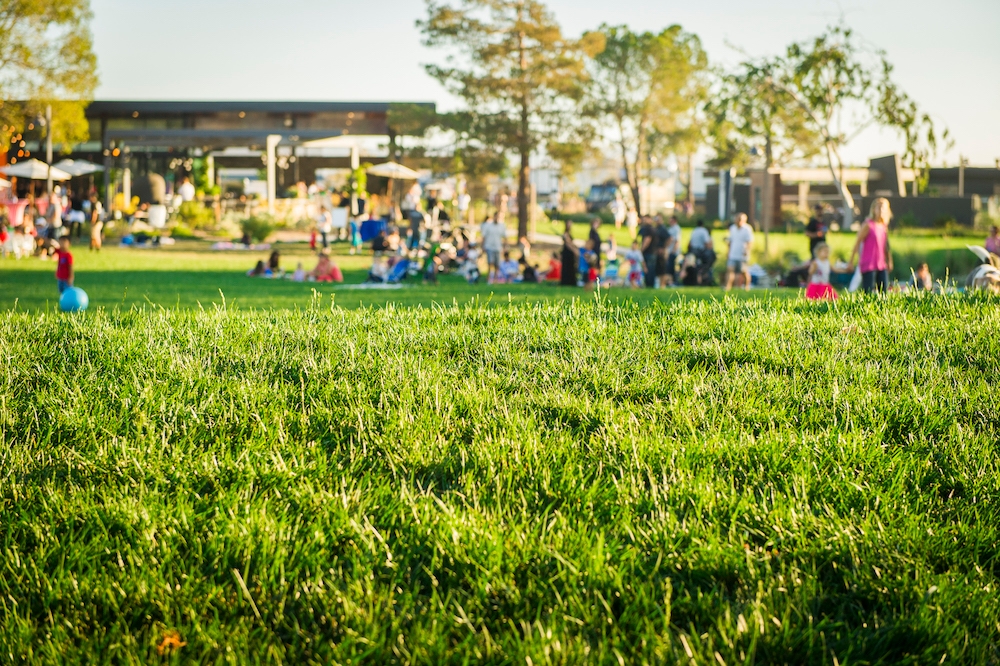 Our Largest Park